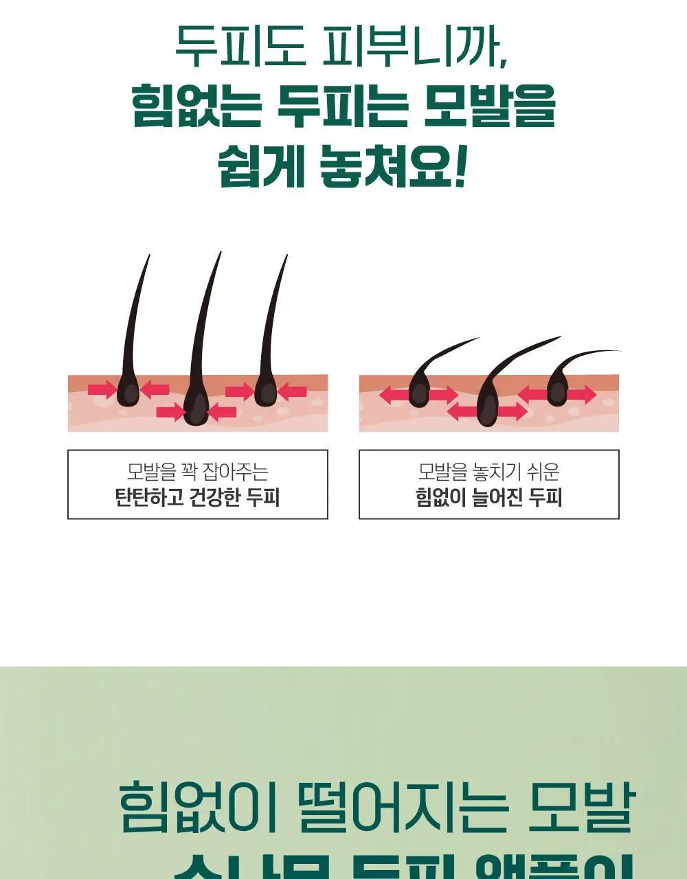 [두피영양] 라운드랩 소나무 진정 시카 두피 앰플 15ml 상세페이지 5